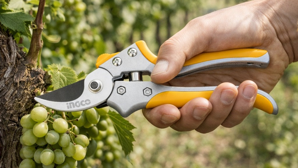 Najbolje makaze za orezivanje – Top 6 modela za sređivanje bašte u proleće