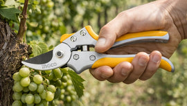 Najbolje makaze za orezivanje – Top 6 modela za sređivanje bašte u proleće